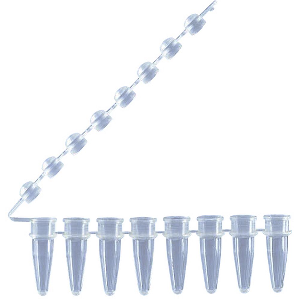 Microtubes BRAND® en barrettes de 8&nbsppour PCR et qPCR barrette de capuchons attachée