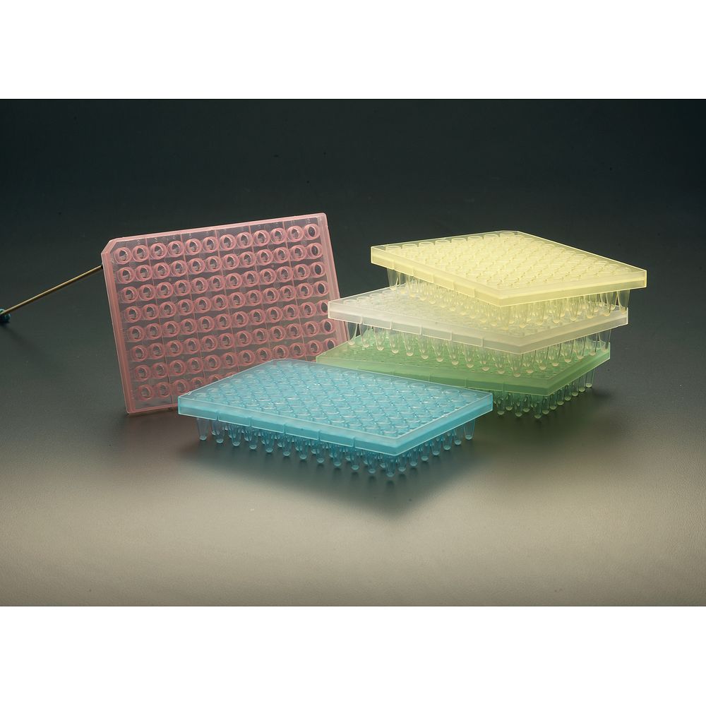 Microplaques PCR Amplate™ 96&nbsppuits avec ou sans jupe