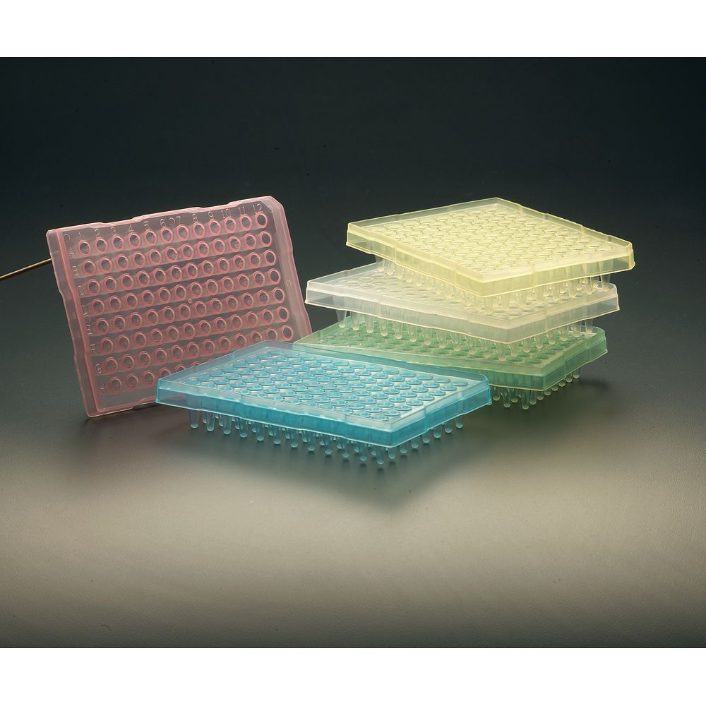 Microplaques PCR Amplate™ 96&nbsppuits avec ou sans jupe