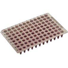Microplaques PCR Amplate™ 96 puits, sans jupe