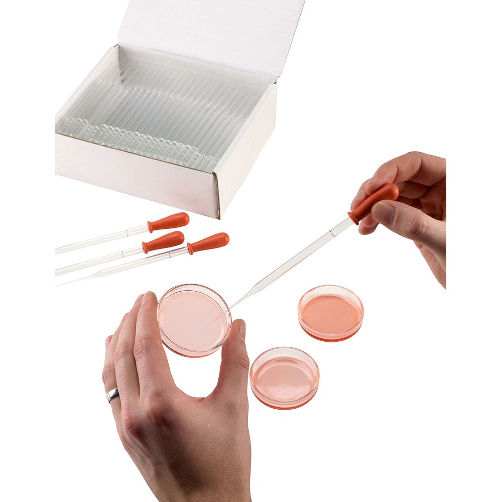 Pipettes Pasteur à tétine