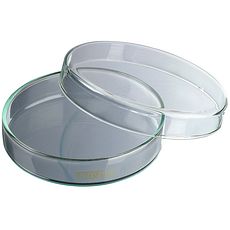 Boîtes de Pétri en verre sodocalcique