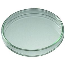 Boîtes de Pétri en verre neutre