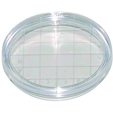 Boîtes de Pétri de contact quadrillées avec ergots de ventilation, en polystyrène