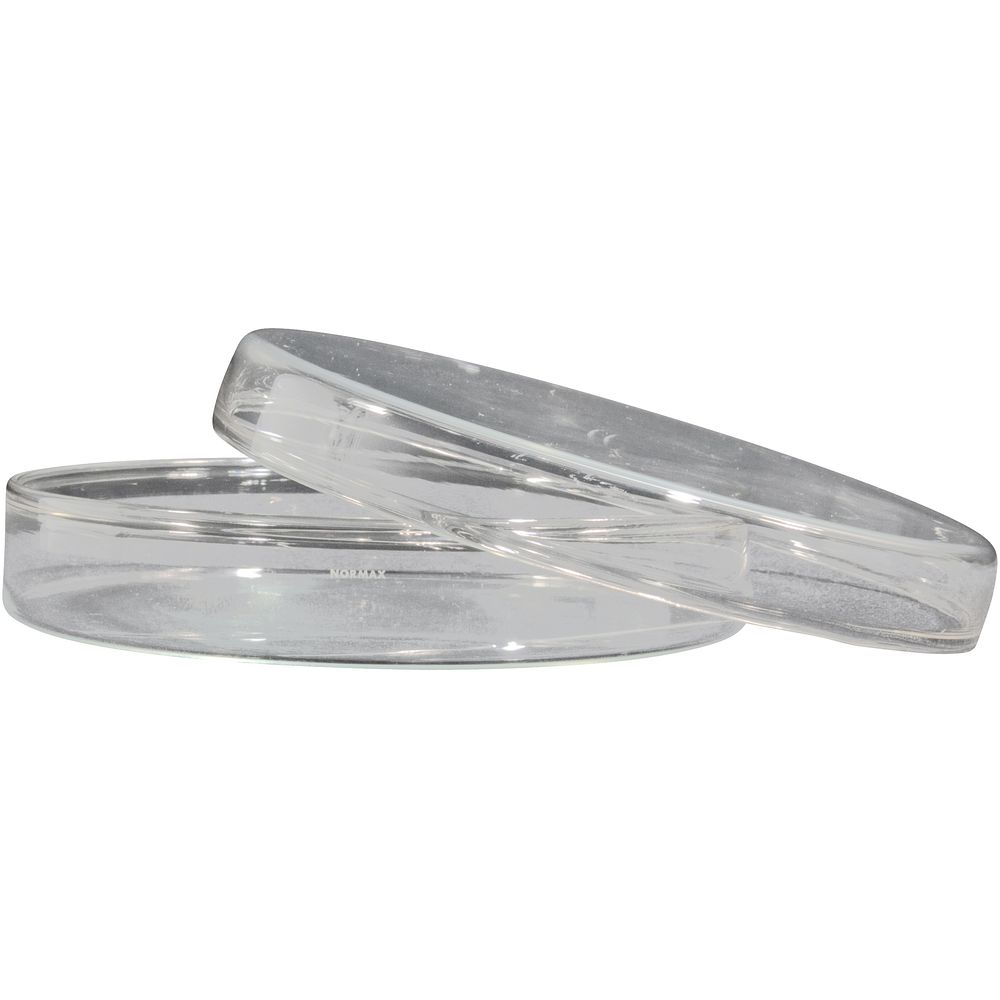 5 Boîtes De Petri En Verre Stériles – Diamètre 60 Mm, Hauteur 18 Mm – Pour Laboratoire, études Biologiques