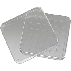Boîtes de Pétri quadrillées avec ergots de ventilation, en polystyrène
