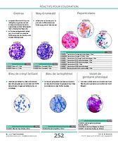 Bleu de lactophénol