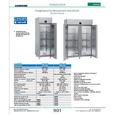 Congélateurs professionnels inox GN 2/1 Performance