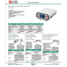 Cuve d'électrophorèse vertical DL-MINI04 